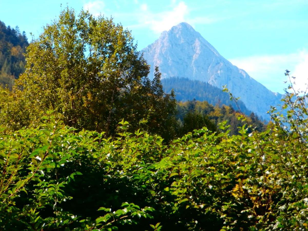 Haus Alois Apartment Mittenwald Exterior photo